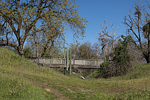 CC_PH23_IMG_1621.jpg