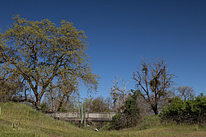 CC_PH23_IMG_1629.jpg