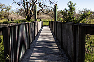 CC_PH23_IMG_1637.jpg