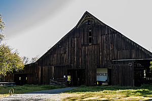 CC_PH23_IMG_1650.jpg