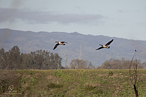 CC_PH23_IMG_5801.jpg