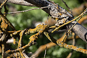 CC_PH23_IMG_5901.jpg