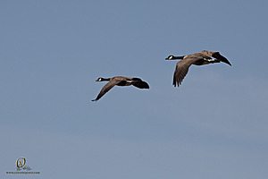 CC_PH23_IMG_5914.jpg