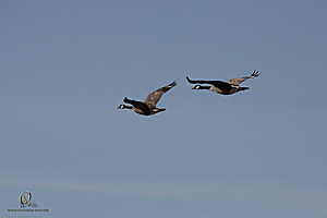 CC_PH23_IMG_5916.jpg