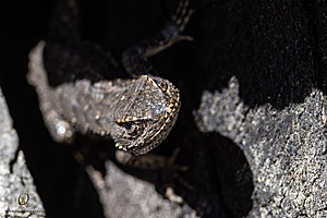 CCC_PH24_IMG_6787-Enhanced-NR.jpg