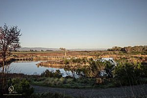 CCC_PH24_IMG_3437-Enhanced-NR.jpg