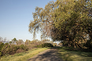 CCC_PH24_IMG_3439-Enhanced-NR.jpg