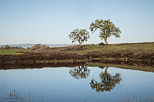 CCC_PH24_IMG_3463-Enhanced-NR.jpg