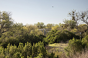 CCC_PH24_IMG_3469-Enhanced-NR.jpg