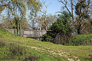 CCC_PH24_IMG_3479-Enhanced-NR.jpg