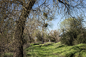 CCC_PH24_IMG_3480-Enhanced-NR.jpg