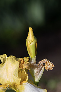 DA_PH22_IMG_7570.jpg