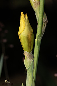 DA_PH22_IMG_7615.jpg