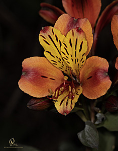 DA_PH22_IMG_7665.jpg