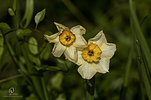 DA_PH22_IMG_7699.jpg