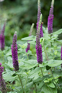 DA_PH22_IMG_9669.jpg