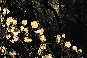 EY_PH23_IMG_2049-Enhanced-NR.jpg