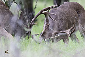 EY_PH23_IMG_4525-Enhanced-NR.jpg