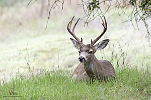 EY_PH23_IMG_4585-Enhanced-NR.jpg