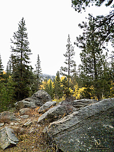 Caples_PH22_20221022_095922.jpg