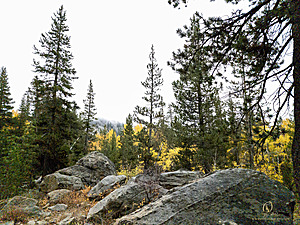 Caples_PH22_20221022_095929.jpg
