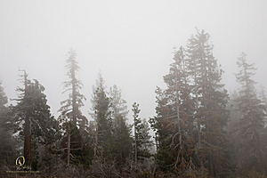 EG_PH22_IMG_5746.jpg