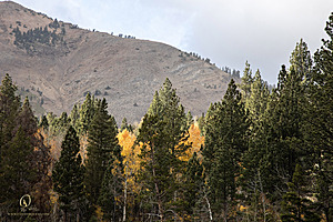 HV_PH22_IMG_8062.jpg