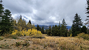Strawberry_PH22_20221022_114518.jpg