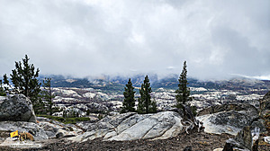 Strawberry_PH22_20221022_134115.jpg