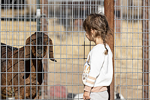 LF_PH24_IMG_8065-Enhanced-NR.jpg