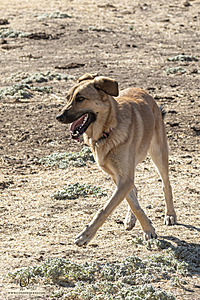 LF_PH24_IMG_8469-Enhanced-NR.jpg
