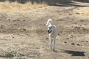 Filename=LF_PH24_IMG_8473-Enhanced-NR.jpg
Filesize=543KiB
Dimensions=1200x800
Date added=May 18, 2025 LF_PH24_IMG_8473-Enhanced-NR.jpg