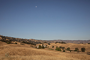 LF_PH24_IMG_7672-Enhanced-NR-2.jpg