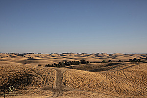 LF_PH24_IMG_7675-Enhanced-NR-2.jpg