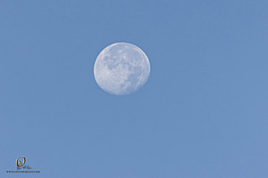 LF_PH24_IMG_7485-Enhanced-NR-2.jpg