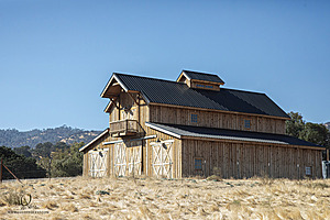 LF_PH24_IMG_7927-Enhanced-NR.jpg