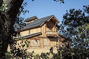 LF_PH24_IMG_7957-Enhanced-NR.jpg