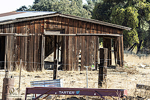 LF_PH24_IMG_8461-Enhanced-NR.jpg