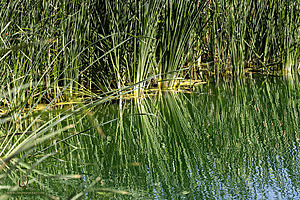 LF_PH24_IMG_8790-Enhanced-NR.jpg